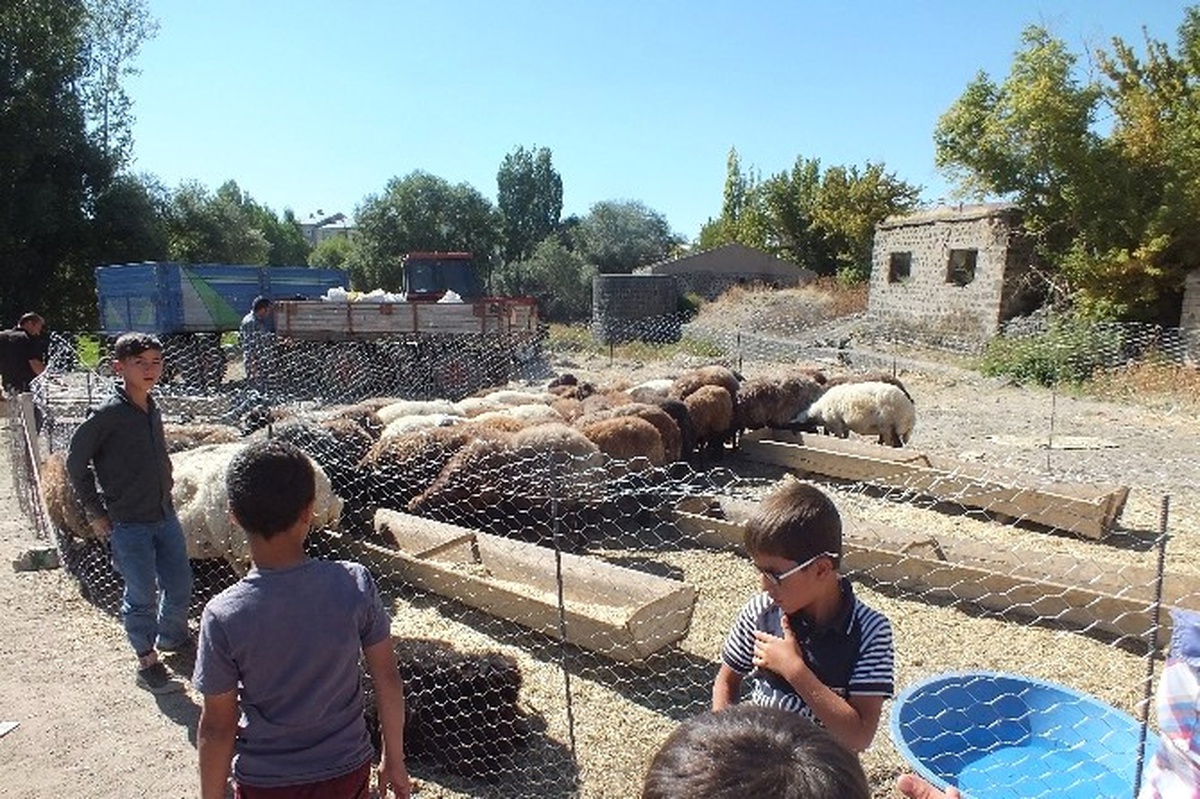 Malazgirt\'te Kurban Pazarı Açıldı