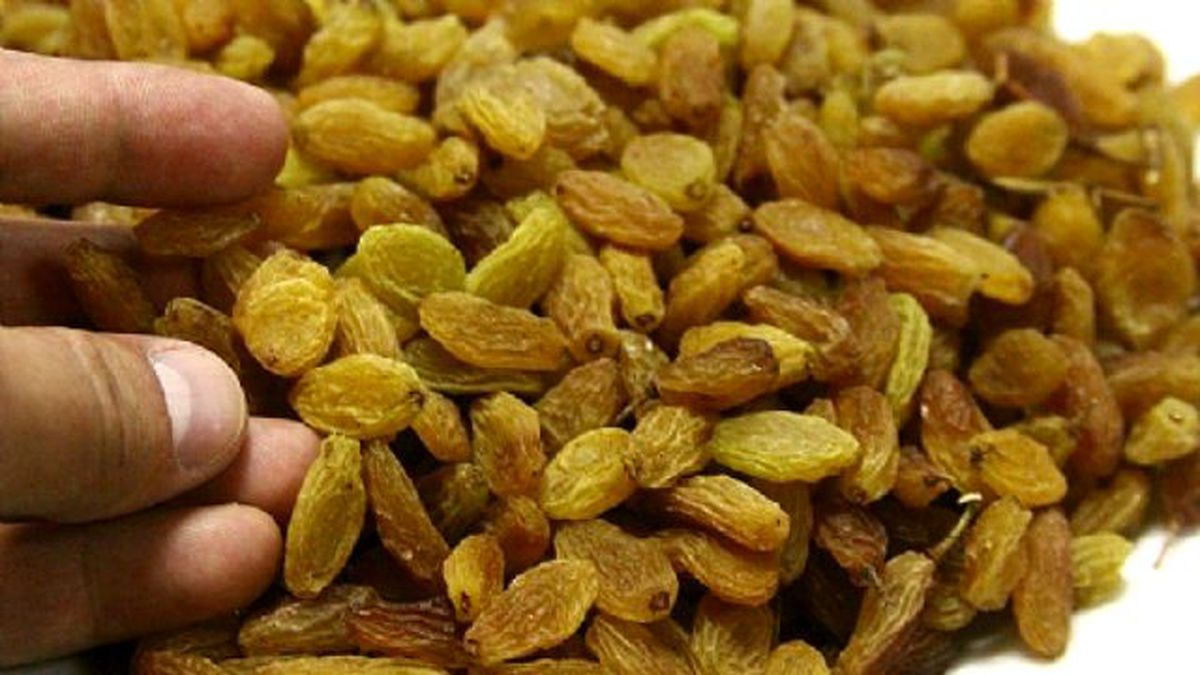 Manisa Ticaret Borsası