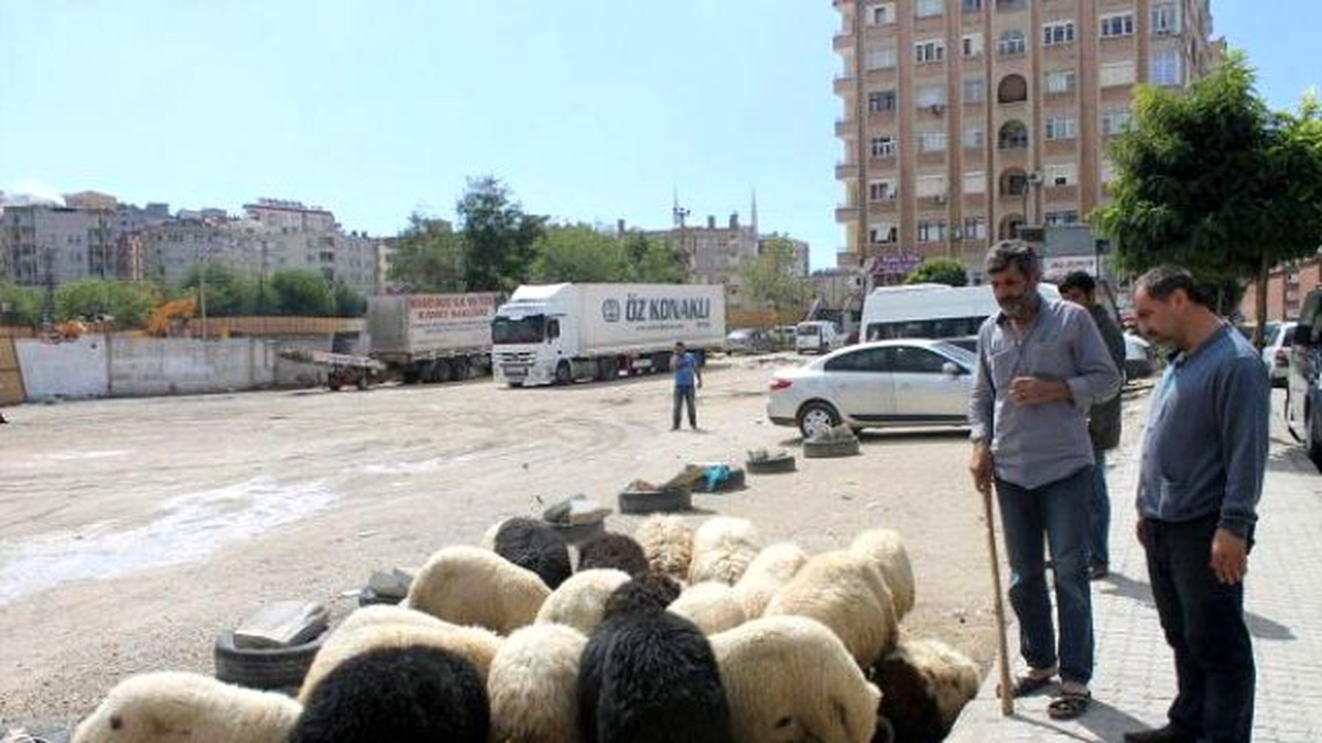 Mardin\'de Kurban Kesim Yerleri Belirlendi