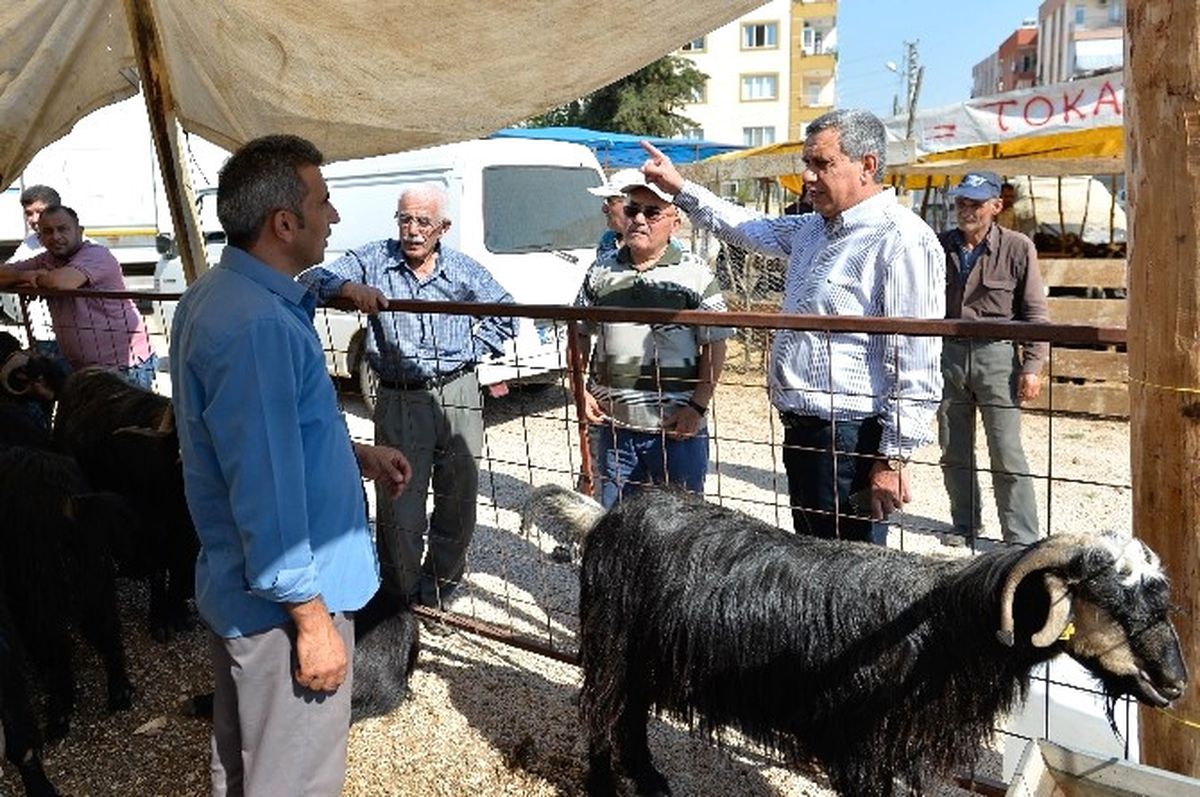 Muratpaşa Bayrama Hazır
