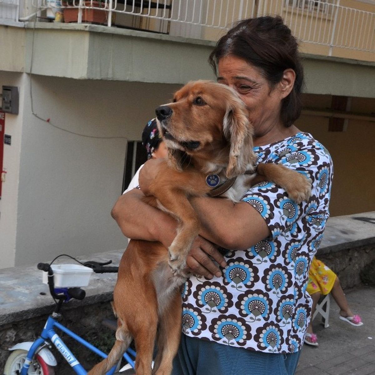 Paşa\' Köpek 4 Kişilik Aileyi Ölümden Kurtardı