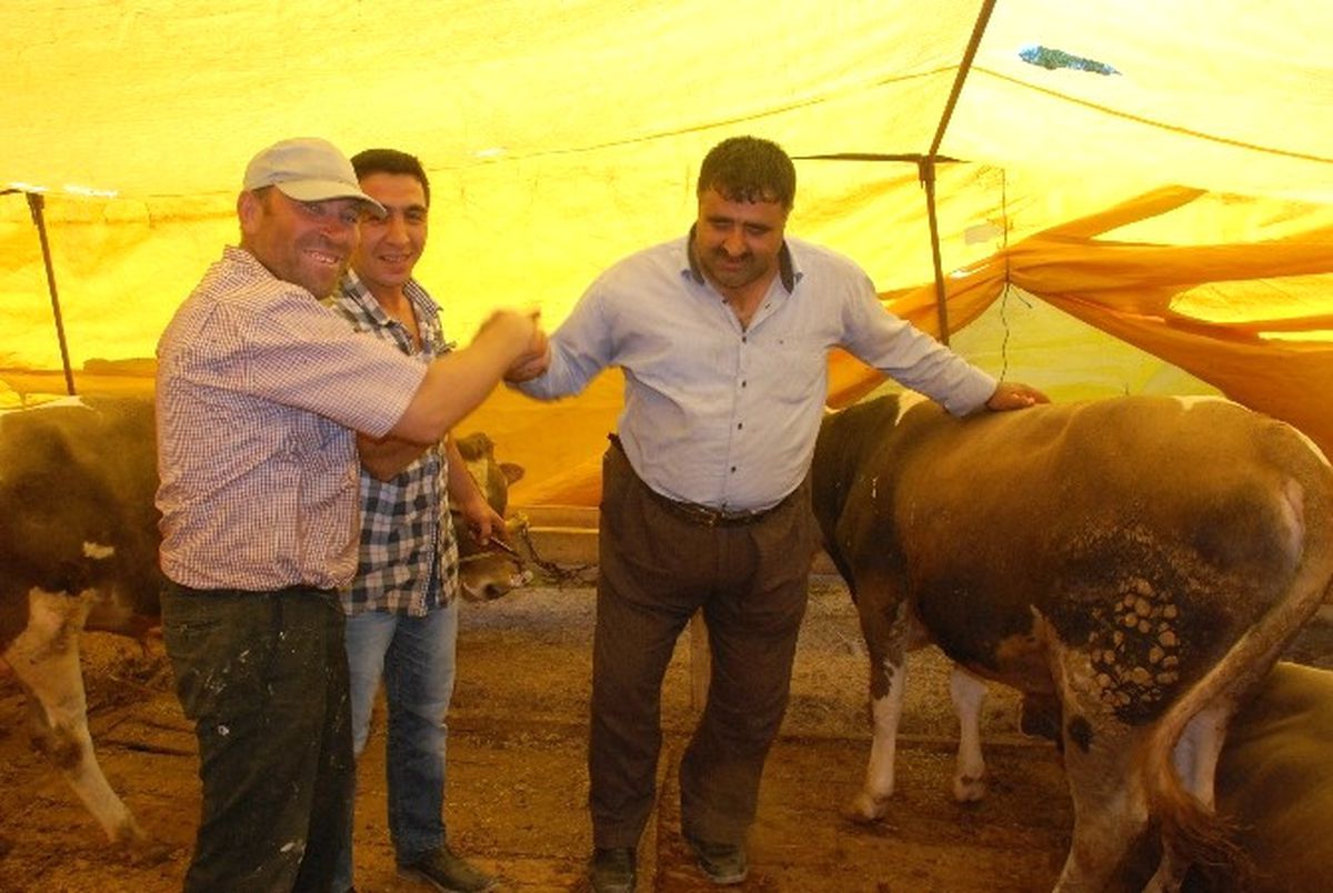 Tokat\'ta Kurban Satışları Hareketlendi
