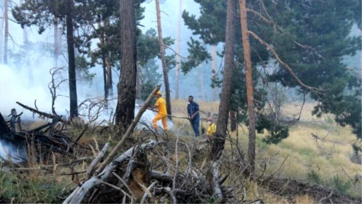 Yozgat\'taki Orman Yangını Söndürüldü