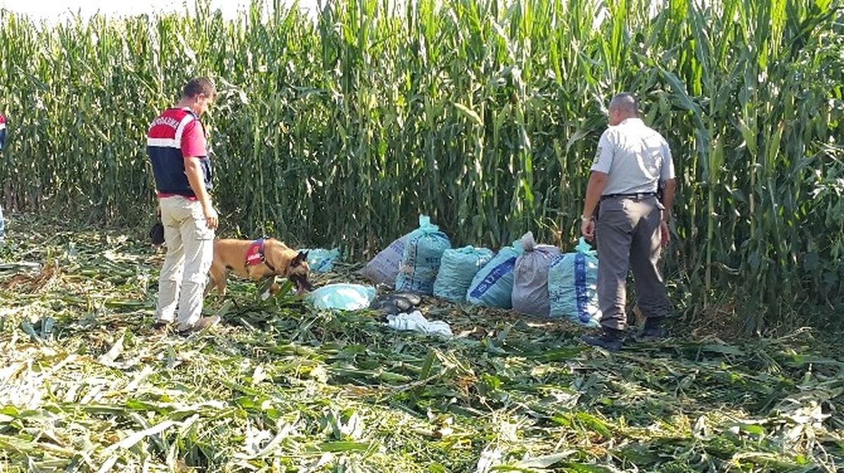 Zehir Tacirleri Kötü Emellerine Ayetel Kürsi'yi de Alet Etti