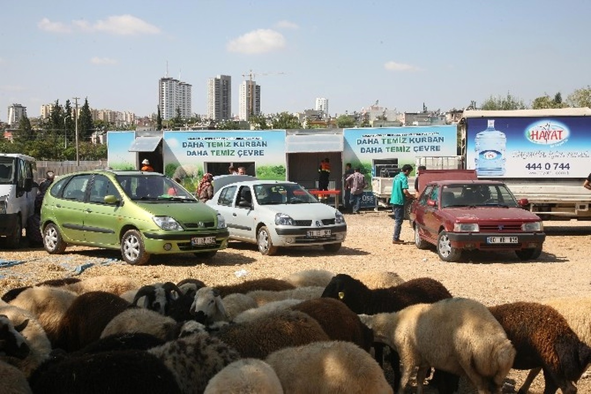 Adana Büyükşehir, 3 İlçede 5 Merkezde Kurban Kesin Hizmeti Verecek