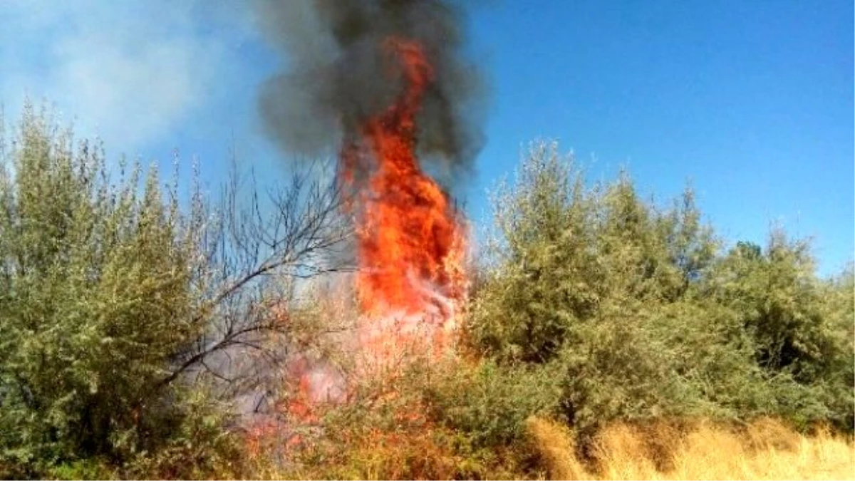Malatya\'da Bitki Örtüsü Yangını