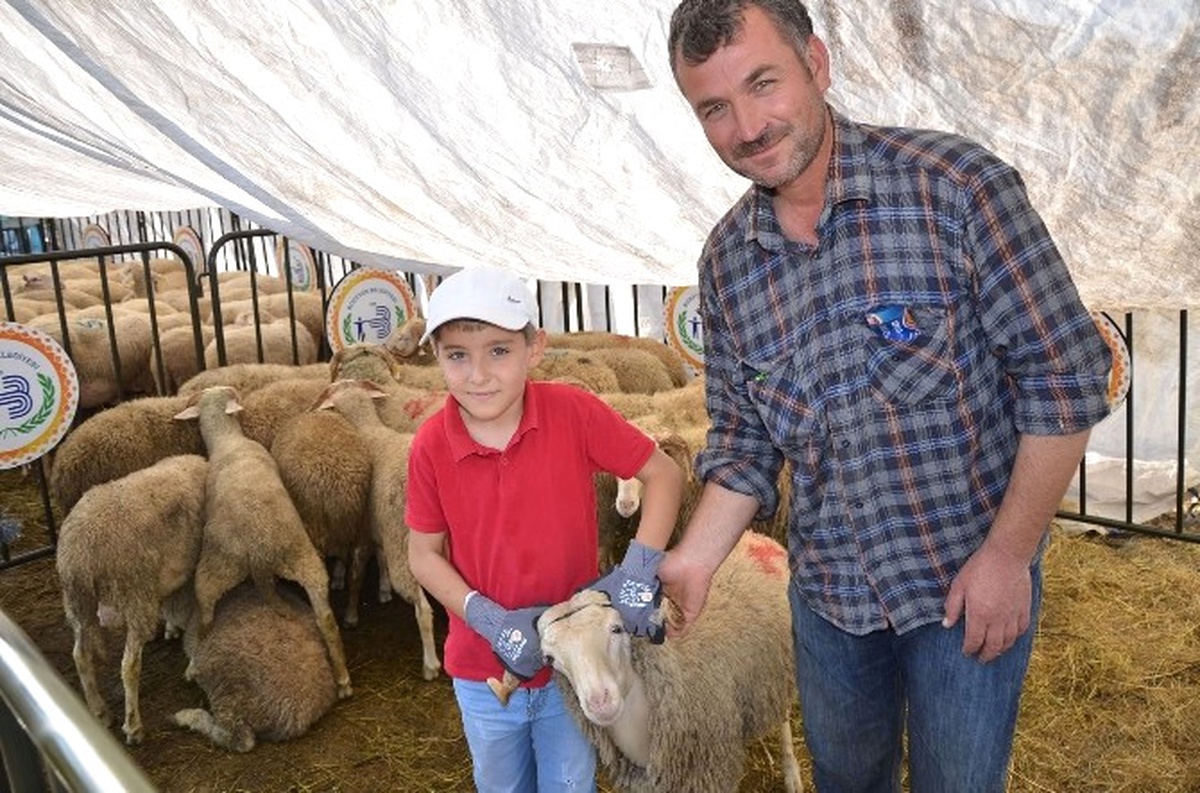Bozüyük Belediyesi Mezbahası Kurban Bayramına Hazır