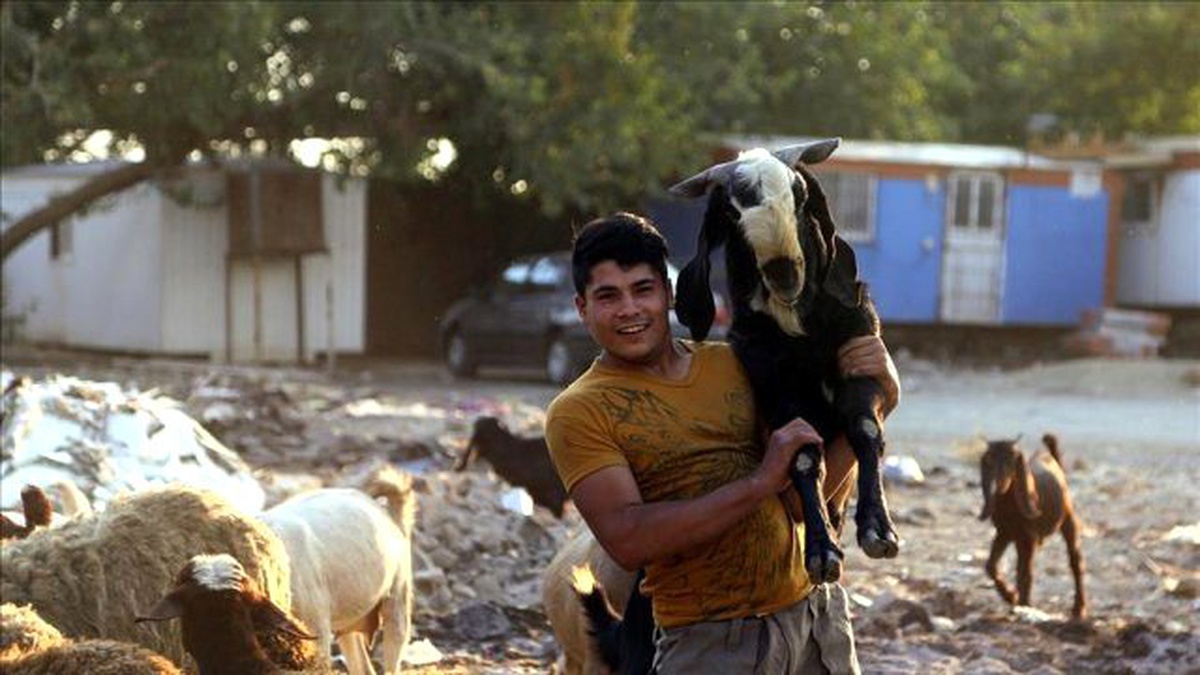 Endonezya\'da Kurban Bayramı Hazırlıkları