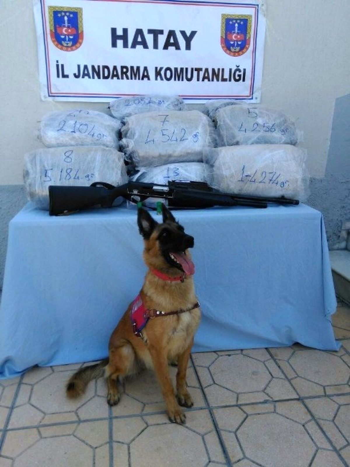 Hatay\'da 61 Kilo Kubar Esrar Ele Geçirildi