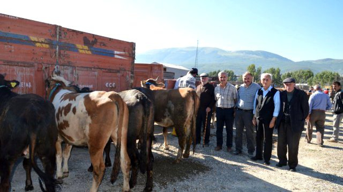 Kurban Bayramı\'na Doğru