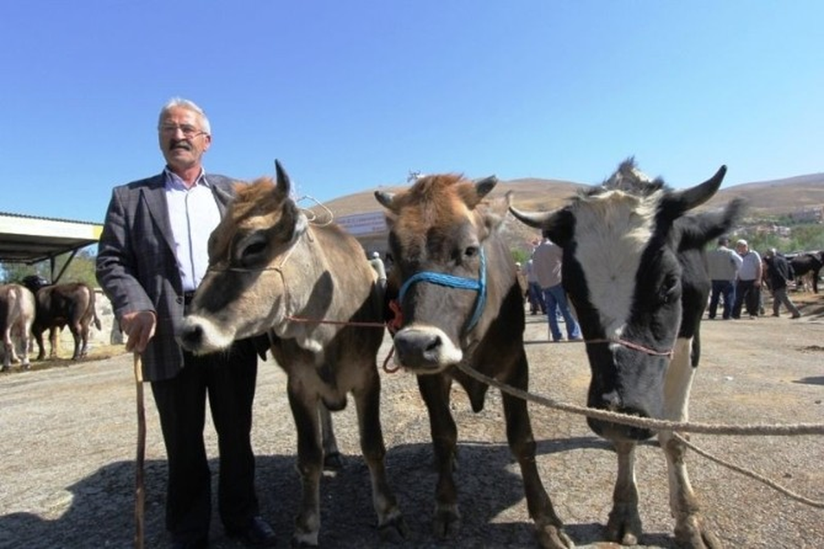 Kurban Kesimine İzin Verilecek Alanlar Belli Oldu