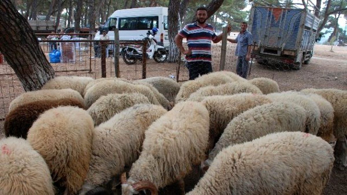 Kurban Bayramı\'na Doğru