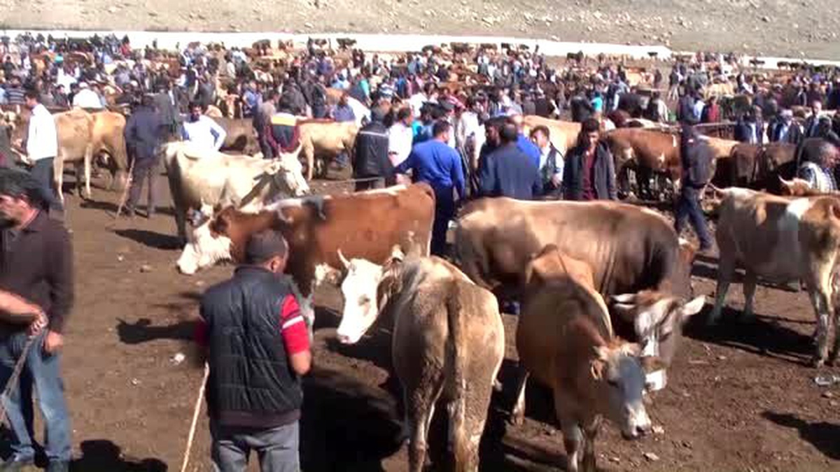 Hayvan Pazarlarında "Kurban" Hareketliliği