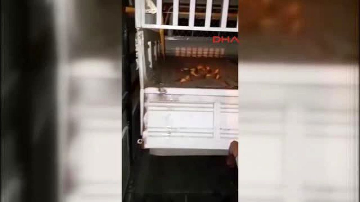 Şanlıurfa Tır\'da 167 Kilo Esrara 2 Gözaltı