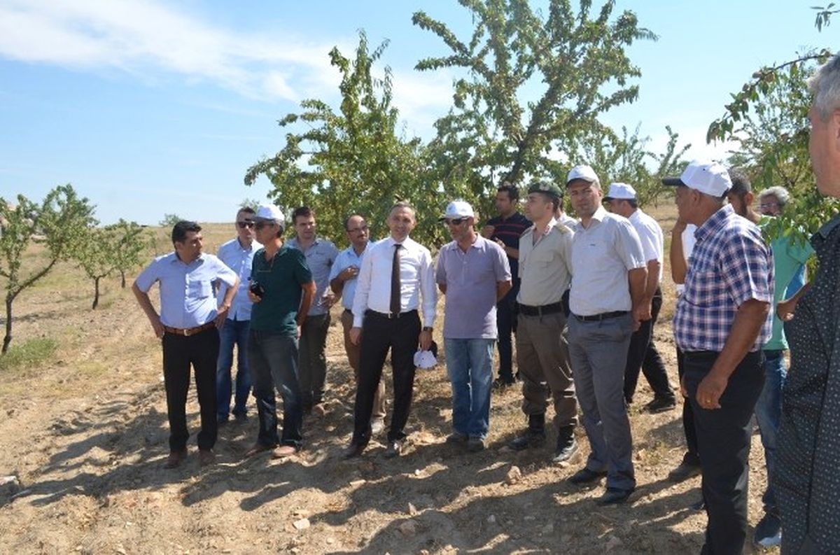 Tarla Okulları Eğitimi Devam Ediyor