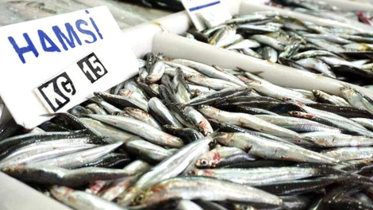 Tekirdağ\'da Balık Fiyatları