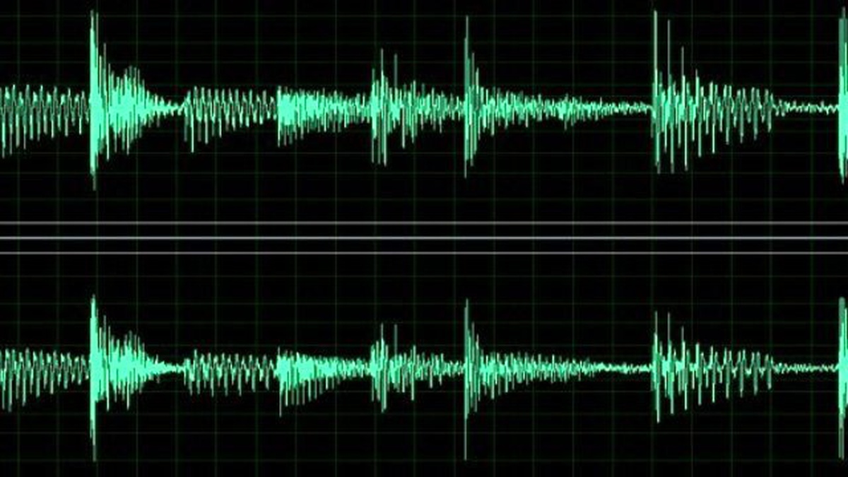 Zorla Getirilme Kararı Verilen Vekillere Ses Analizi Yapılacak