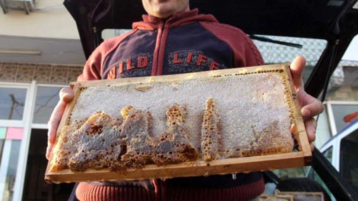 Bal Peteğinde Arapça "Allah" Yazısı