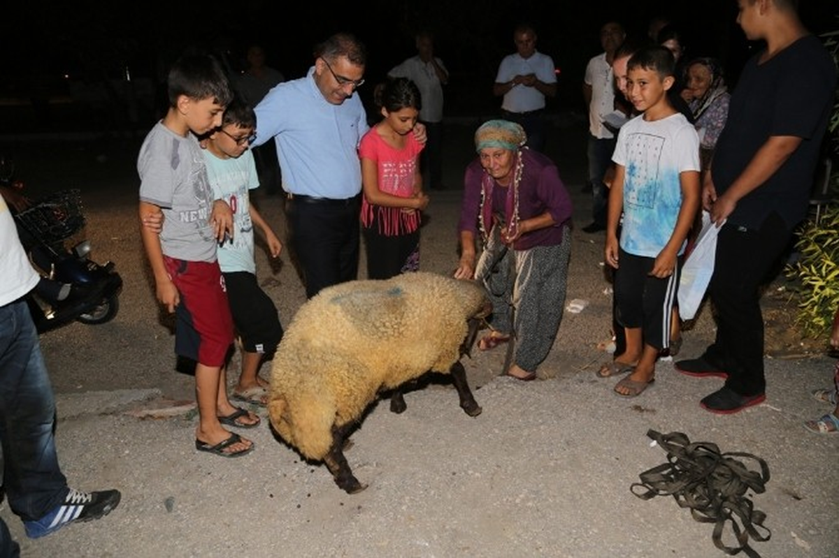 Başkan Çelikcan, Öksüz ve Yetimlere Kurban Dağıttı