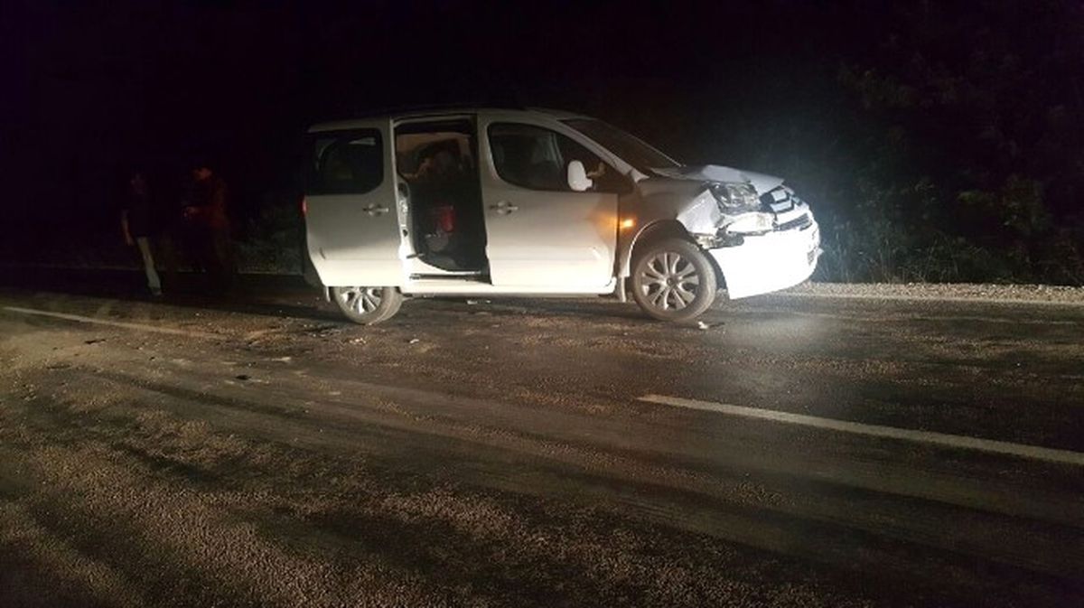 Domuz Sürüsü Kazaya Neden Oldu