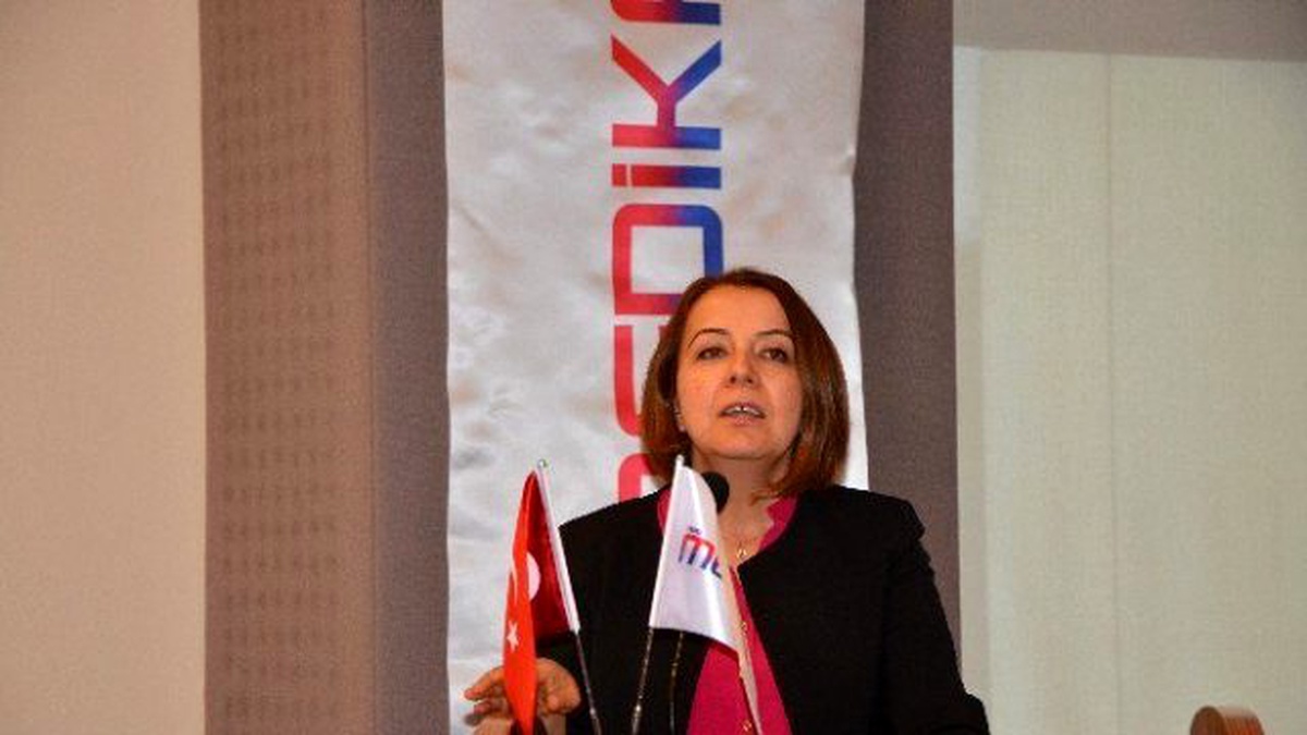 Hamilelere Seyahat Uyarısı