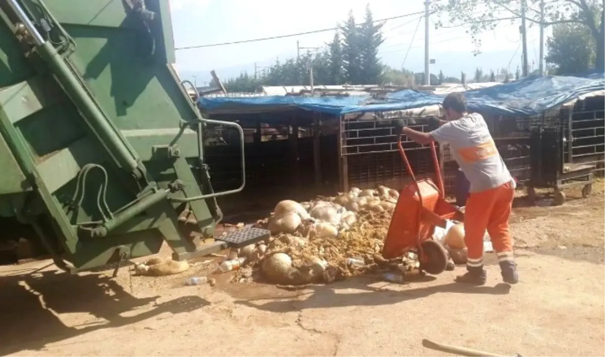 İzmit Zabıtası Bayrama Hazır