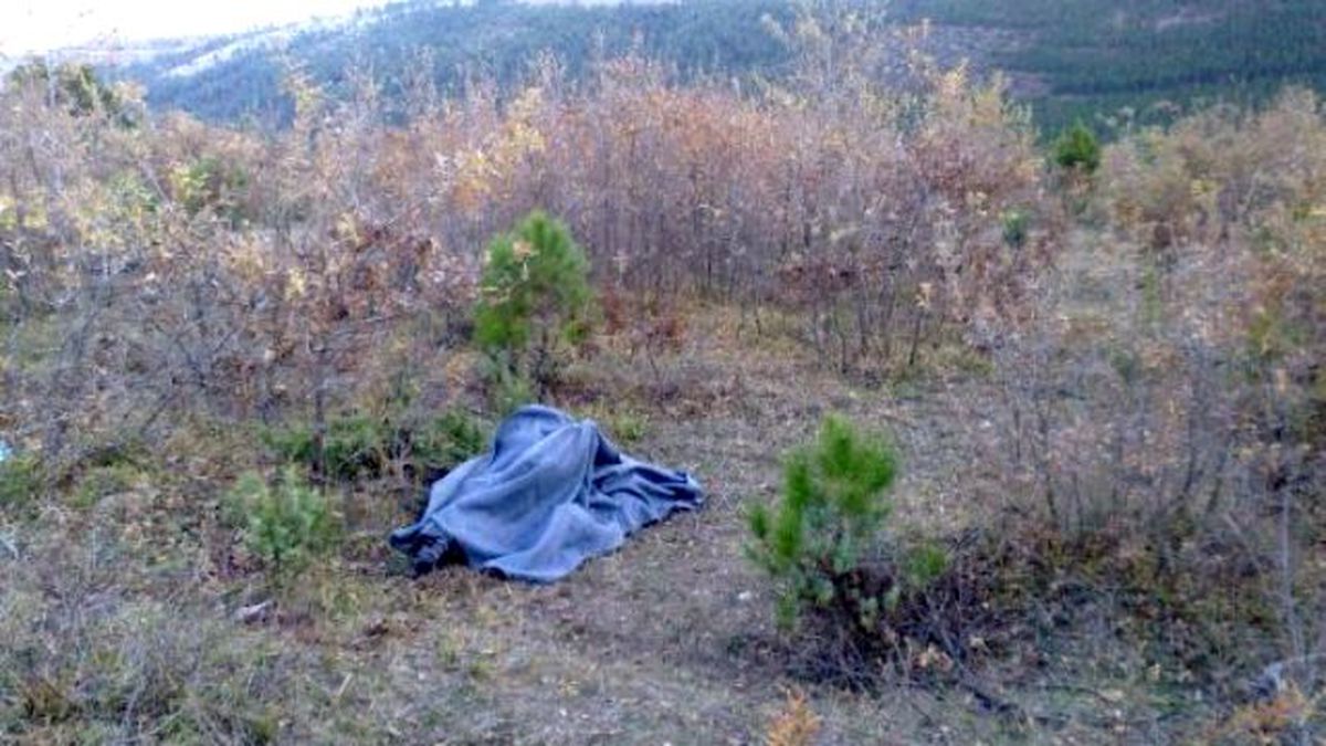 Kütahya\'da Ormanlık Alanda Ceset Bulundu