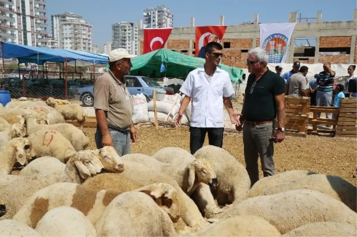 Mezitli Kurban Pazarında Her Ayrıntı Düşünüldü