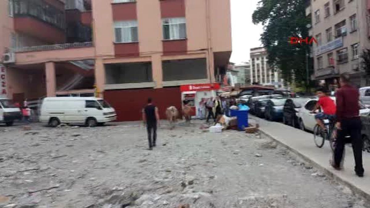 Ahırdan Kaçan Danalar Rize'yi Birbirine Kattı