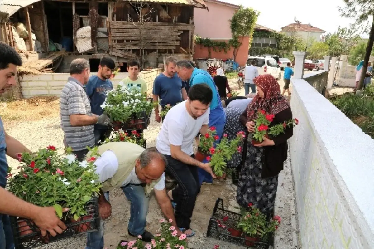 Başiskele Belediyesi, Mezarlıklarda 4 Bin Adet Mevsimlik Çiçek Dağıtı