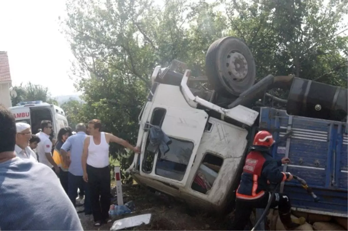 Fındık Yüklü Kamyon Devrildi