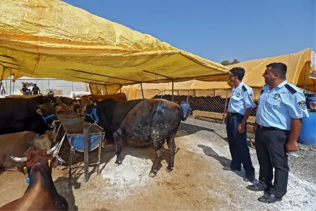 Kurban Keserken Ceza Yemeyin