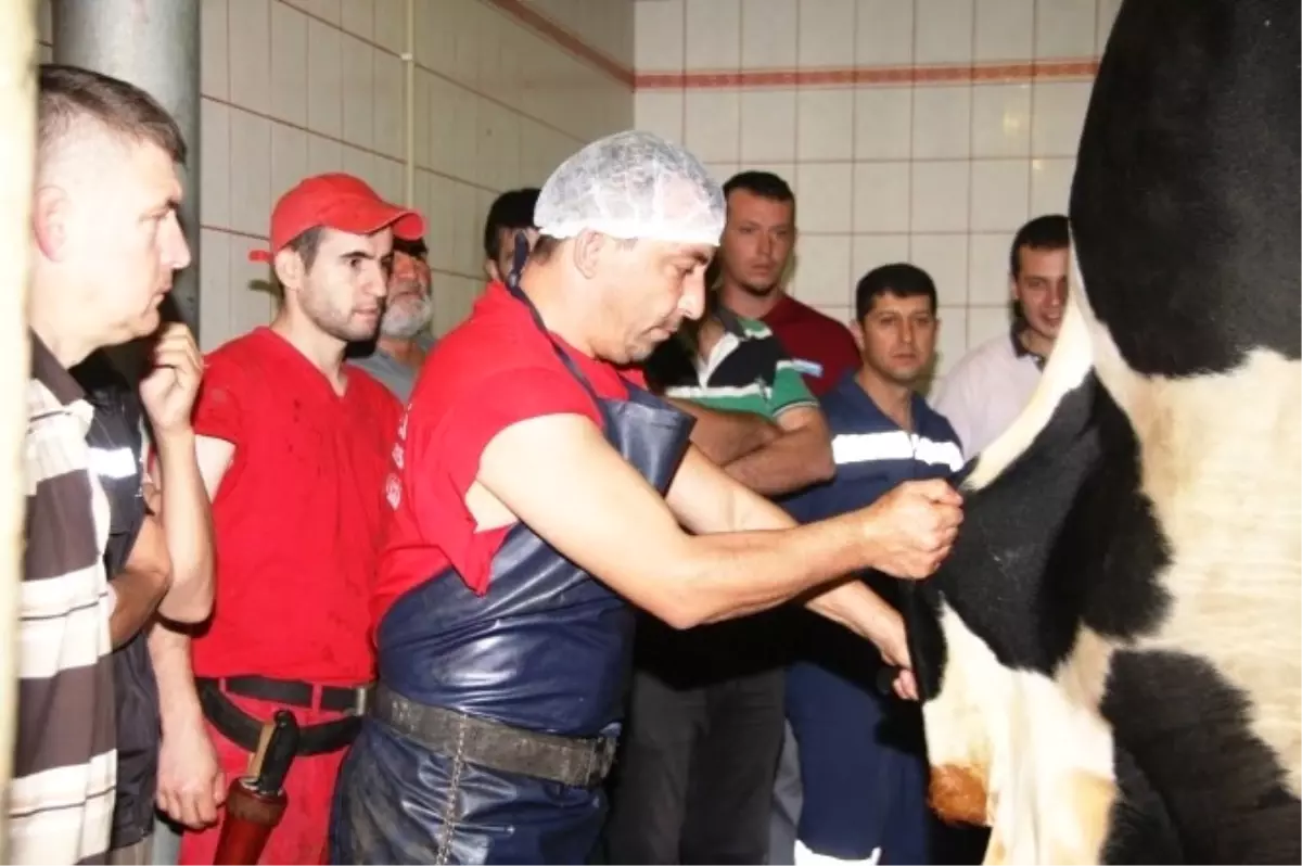 Vatandaşlara Kurban Keserken Dikkatli Olun Uyarısı