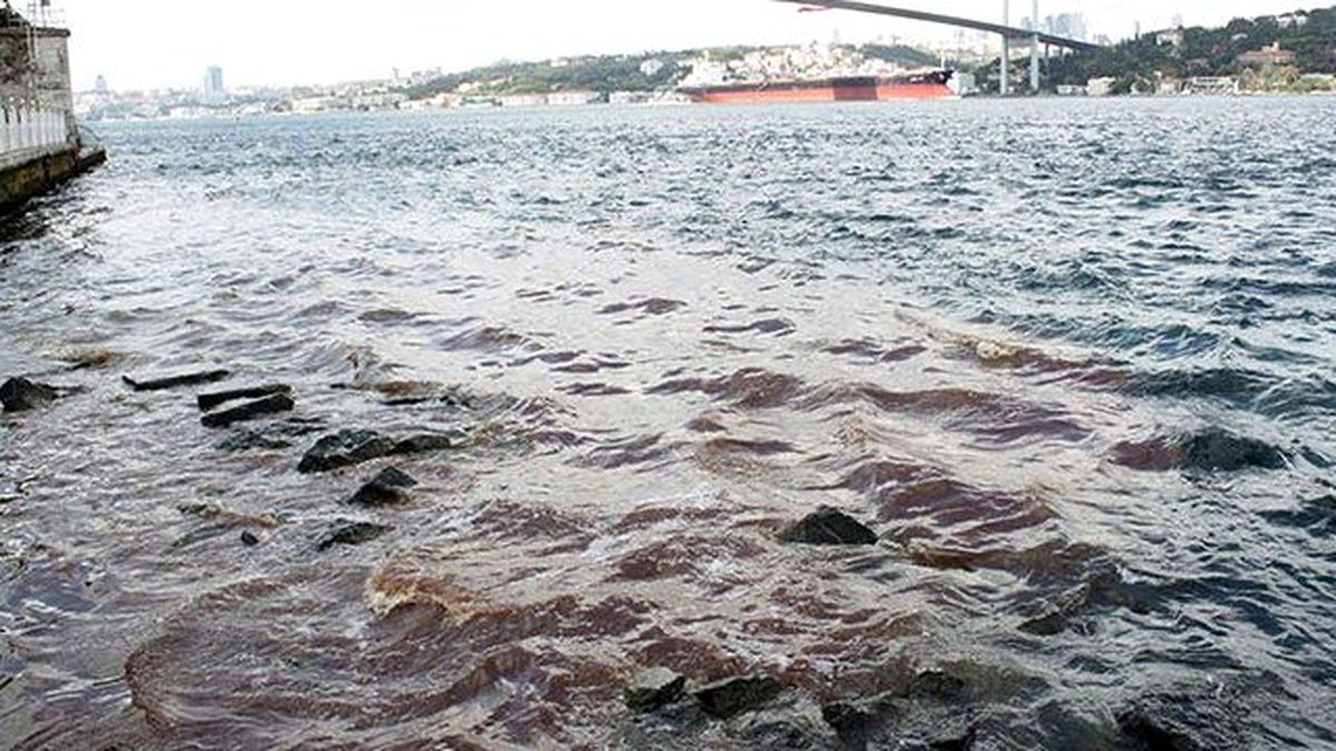 Kurban Kesim Alanlarında Kesilen Kurbanların Kanı Boğaza Aktı