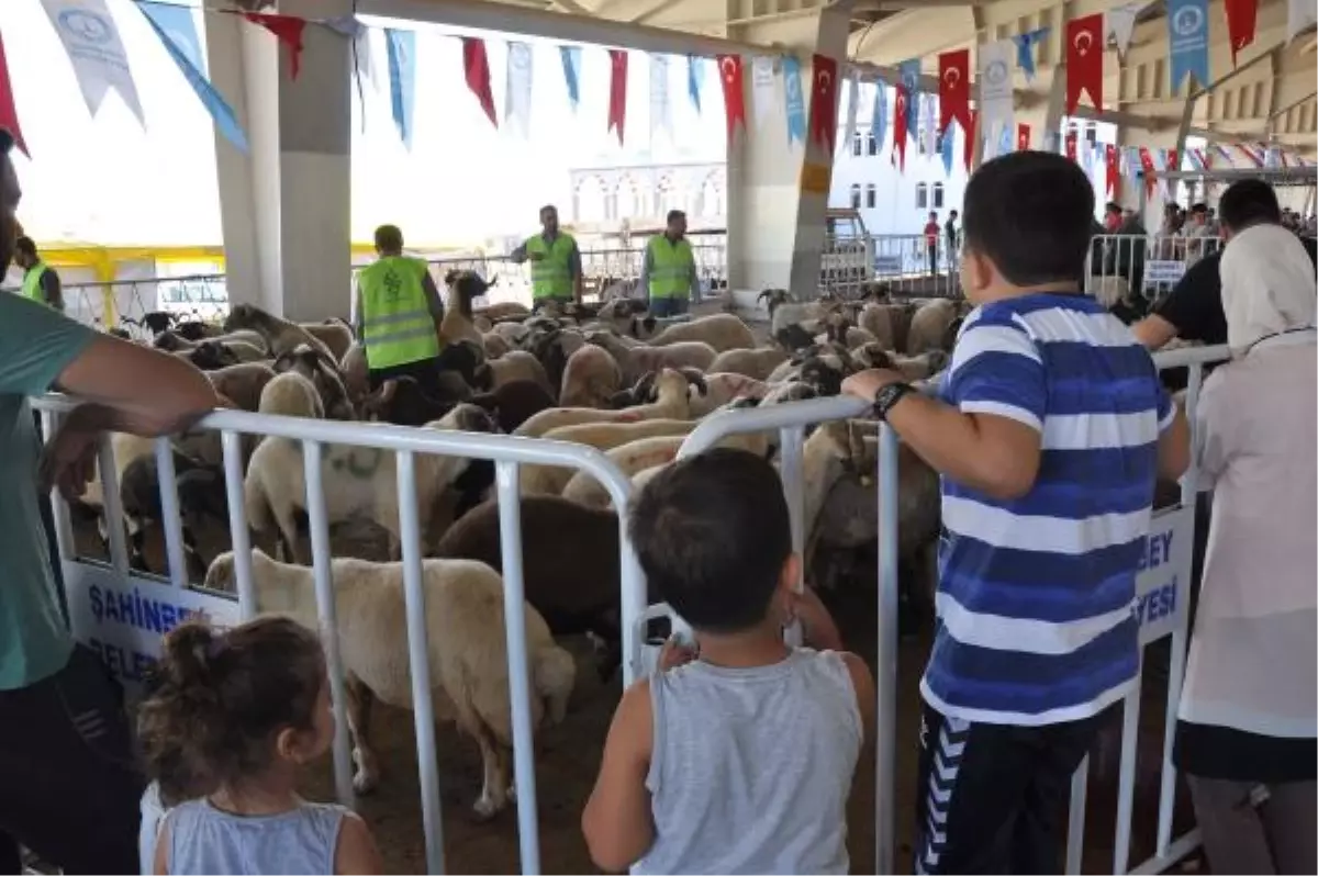 Gaziantep\'te Çocukların Gözü Önünde Kurban Kesimi