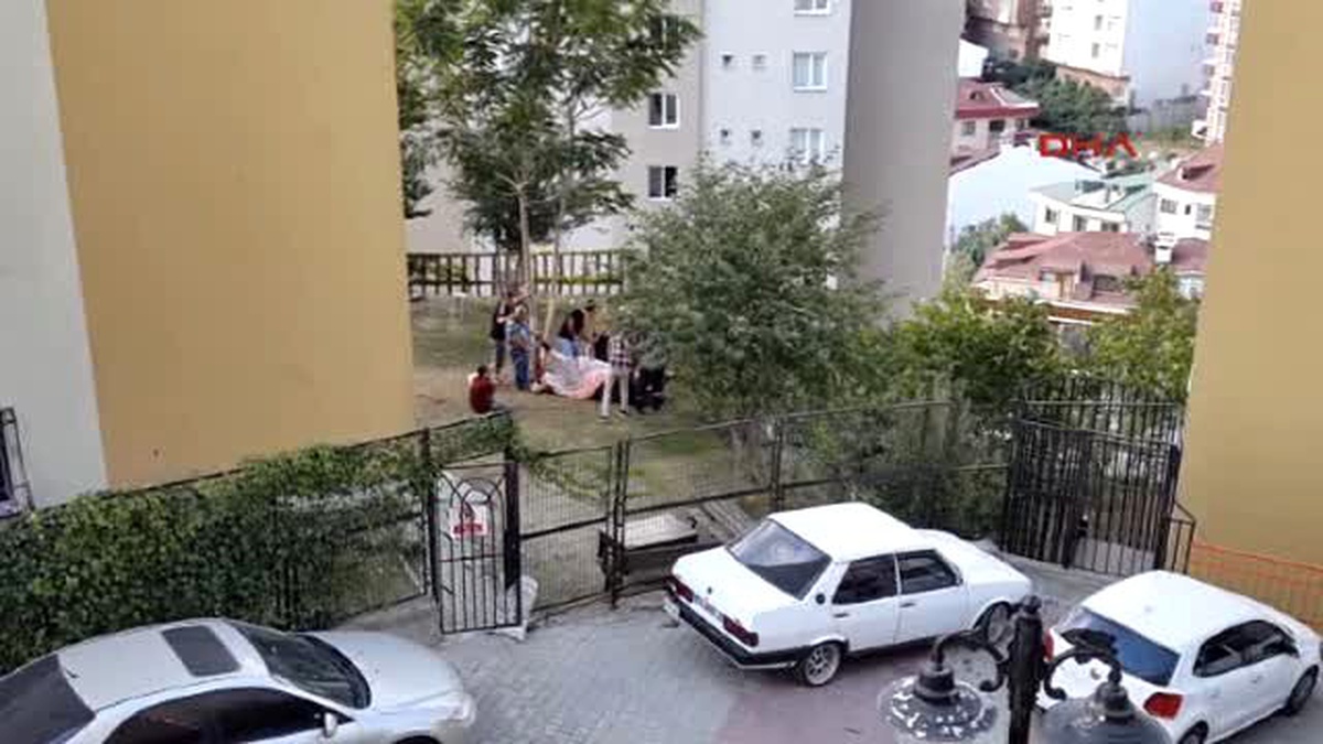 İstanbul\'da Kaçak Kesim Manzaraları - 2