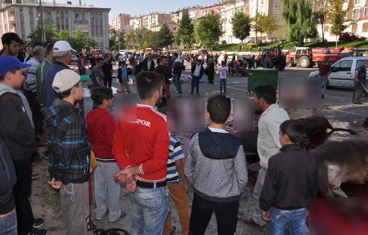 Kurbanlar Çocukların Gözleri Önünde Kesildi