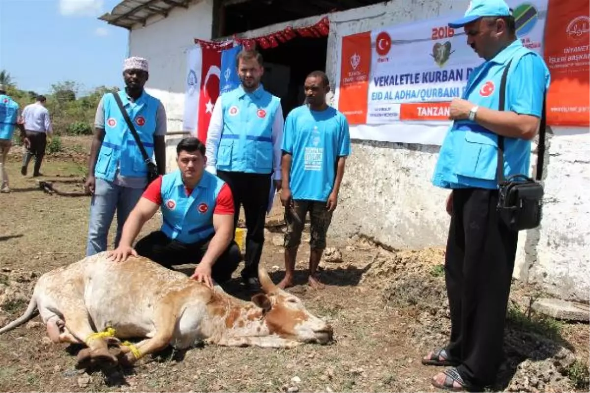 Milli Güreşçi Rıza Kayaalp, Zanzibar\'da Kurban Eti Dağıttı