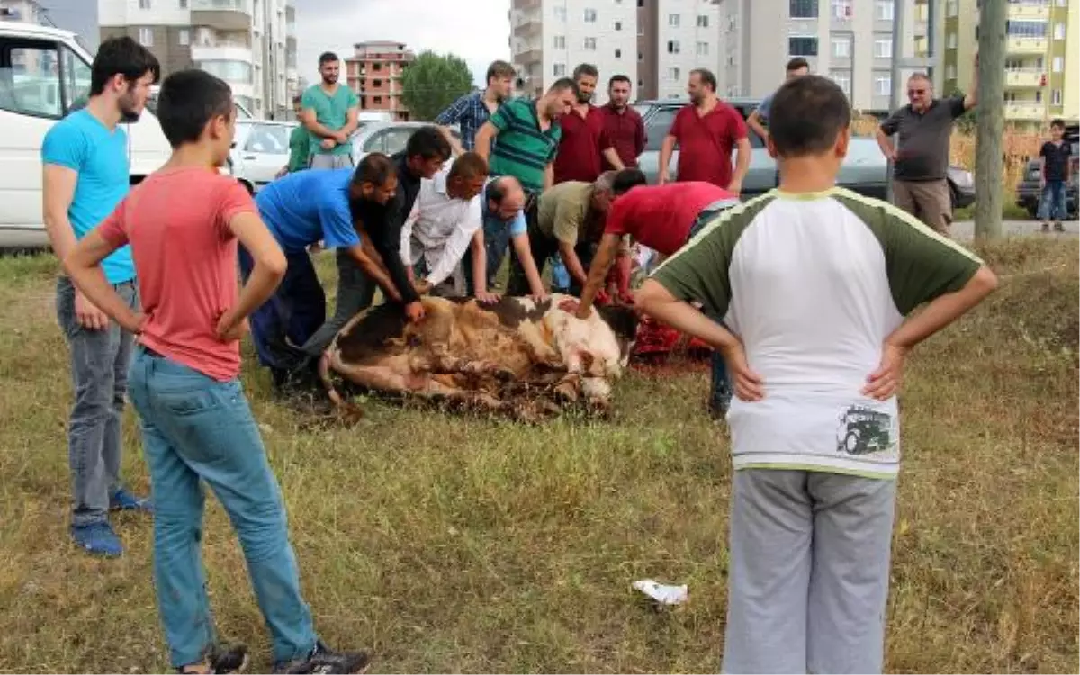 Samsun\'da Bayram Manzaraları