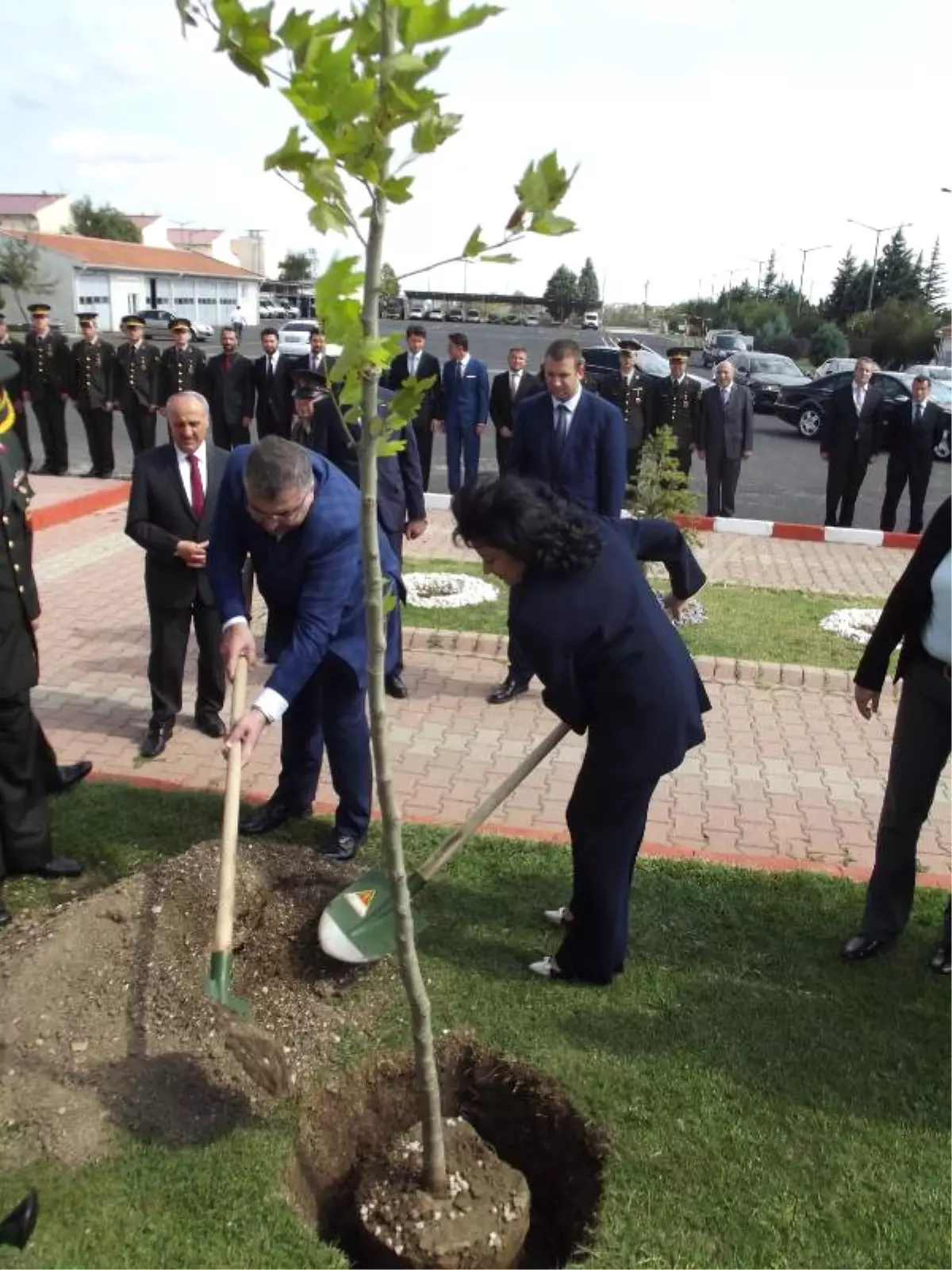 Şehit Astsubay Halisdemir Anısına Kırklareli\'de Çınar Ağacı Dikildi