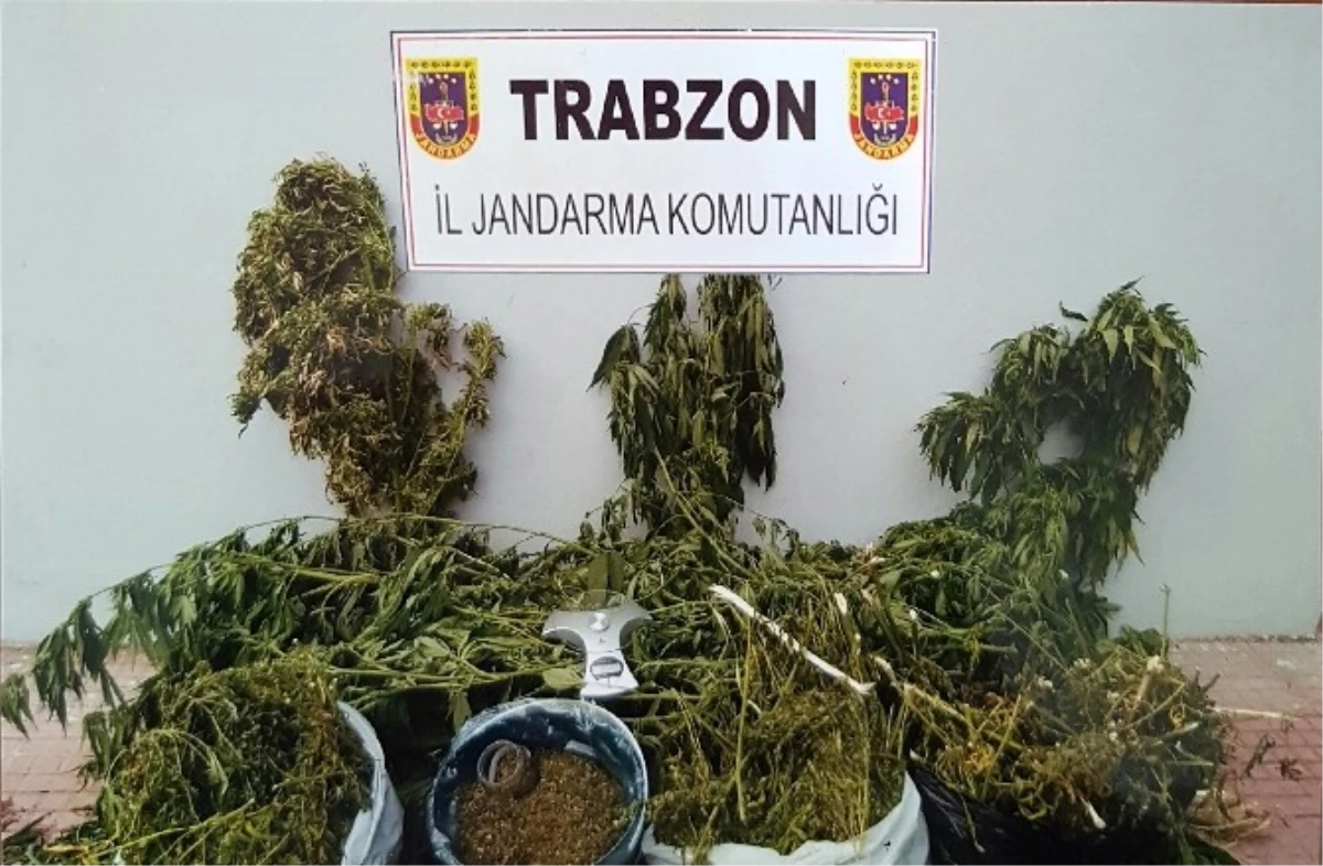 Trabzon\'da Uyuşturucu Operasyonu