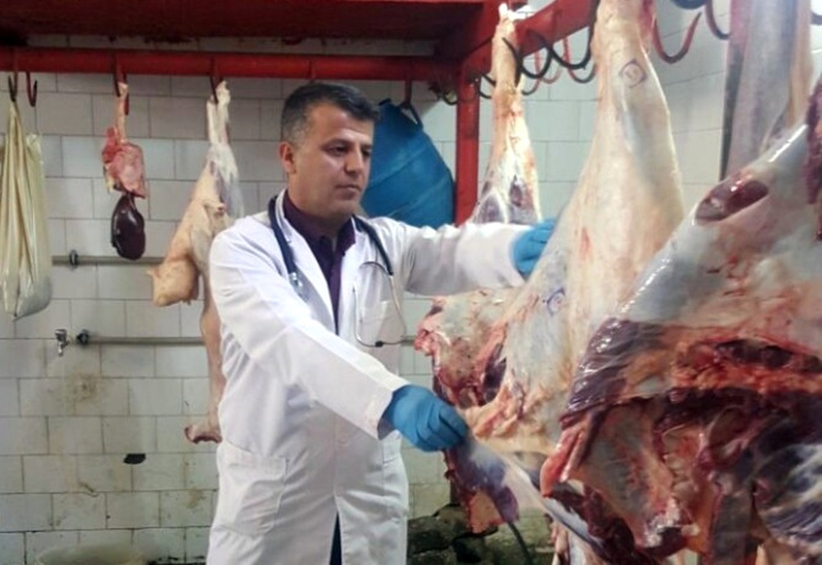 Hakkari\'de Kurbanlık Kesimleri Veteriner Denetiminde Yapılıyor