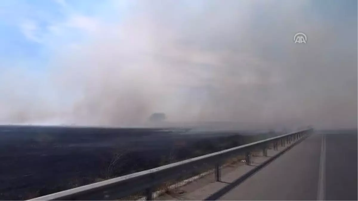 Anız Yangını Zincirleme Trafik Kazasına Neden Oldu