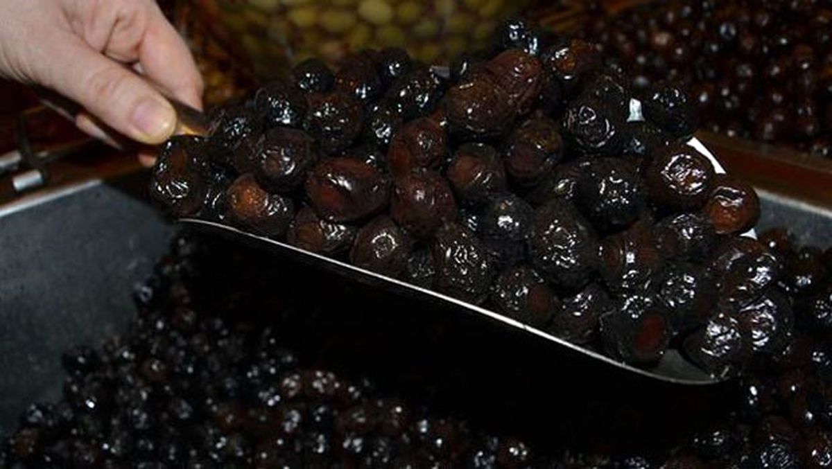 Sofralık Zeytinde İhracat Fiyatı Rekoru