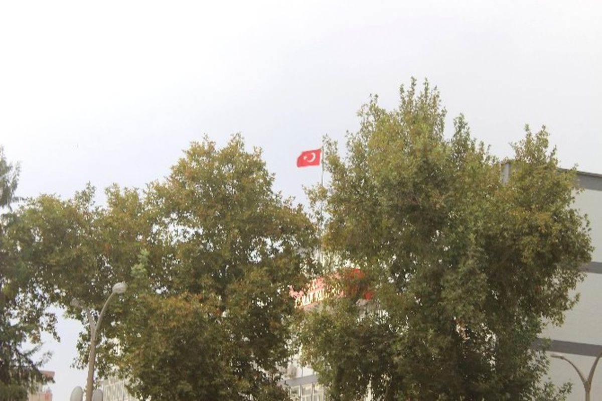 Adıyaman\'da Şiddetli Rüzgar Ağacı Devirdi
