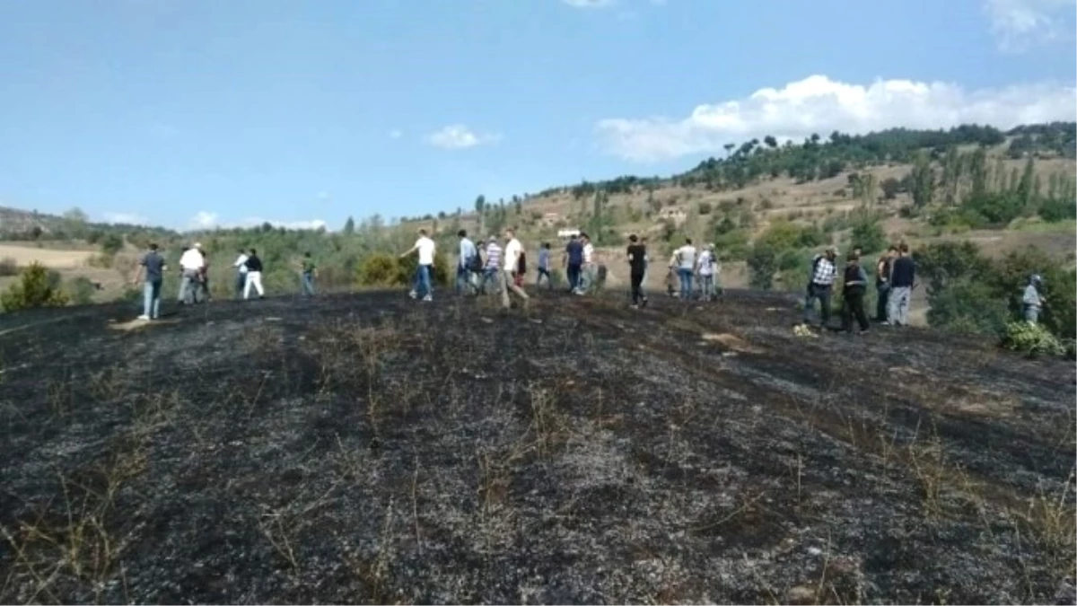 Bursa\'da Orman Yangını
