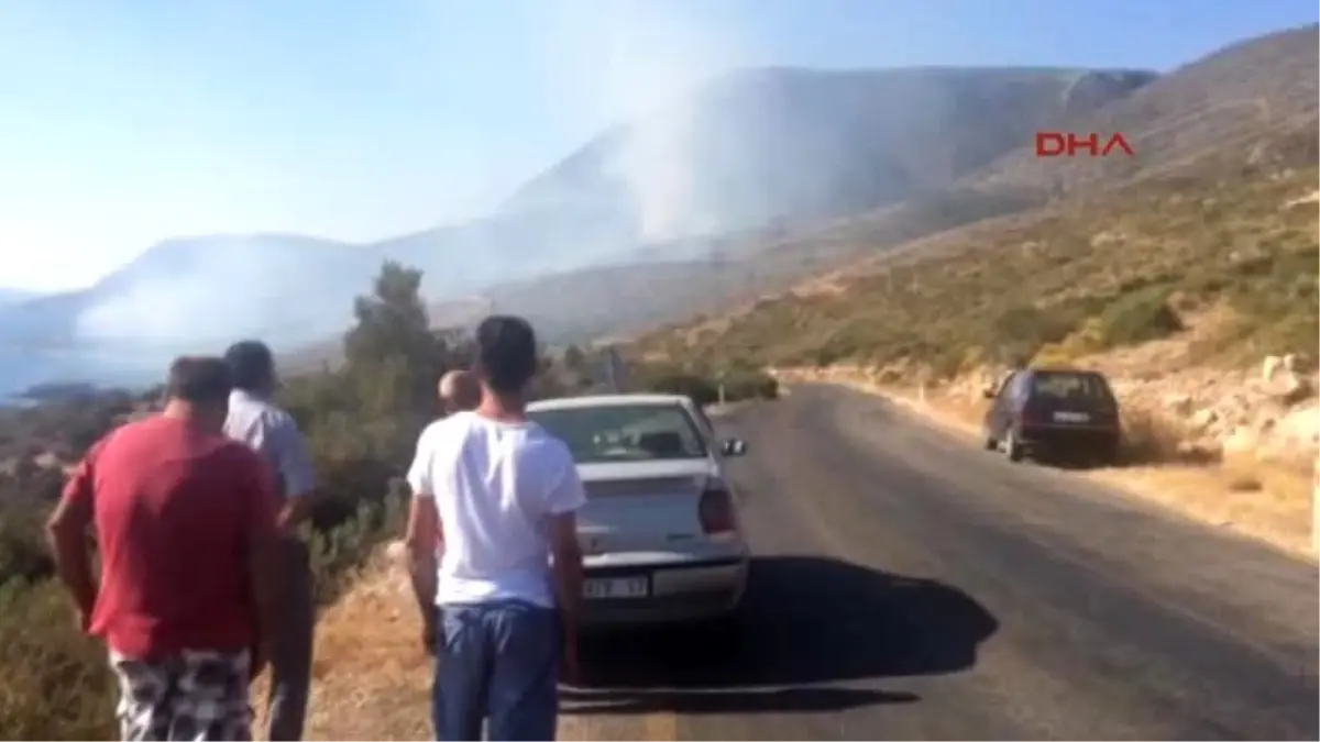 Karaburun\'da Piknikçi Ateşi Ormanı Yaktı