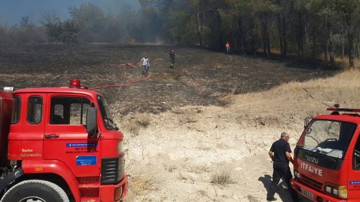Çakmakla Oynayan Çocuklar Az Kalsın Ormanı Yakıyordu