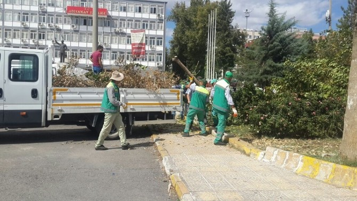 Rüzgarın Devirdiği Dut Ağacı Kesilerek Kaldırıldı