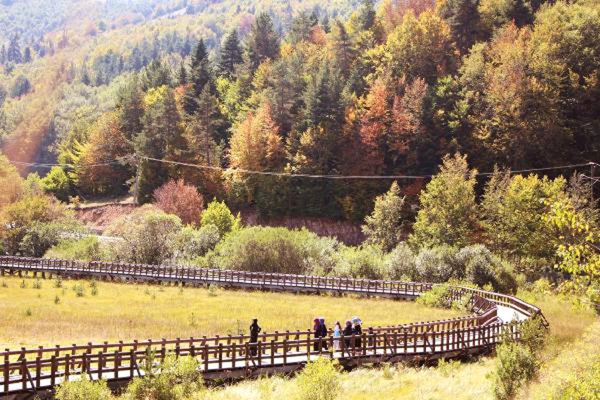 Abant\'ta Sonbahar Güzelliği